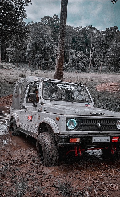 海的养老院 海的养老院